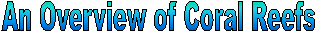 An Overview of Coral Reefs